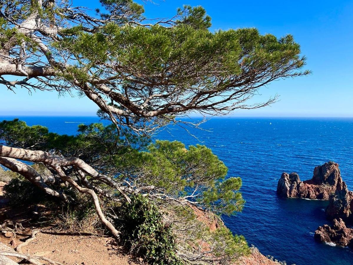 Les Cactus Frejus Plage Екстериор снимка