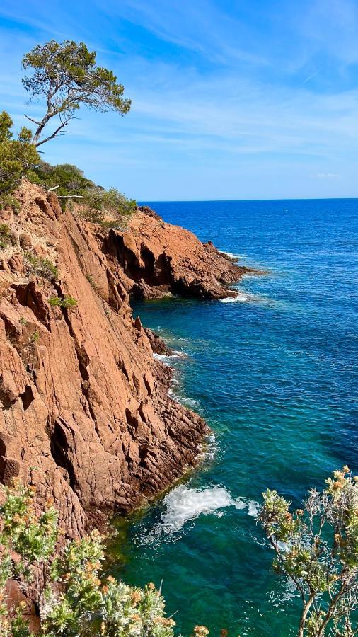 Les Cactus Frejus Plage Екстериор снимка