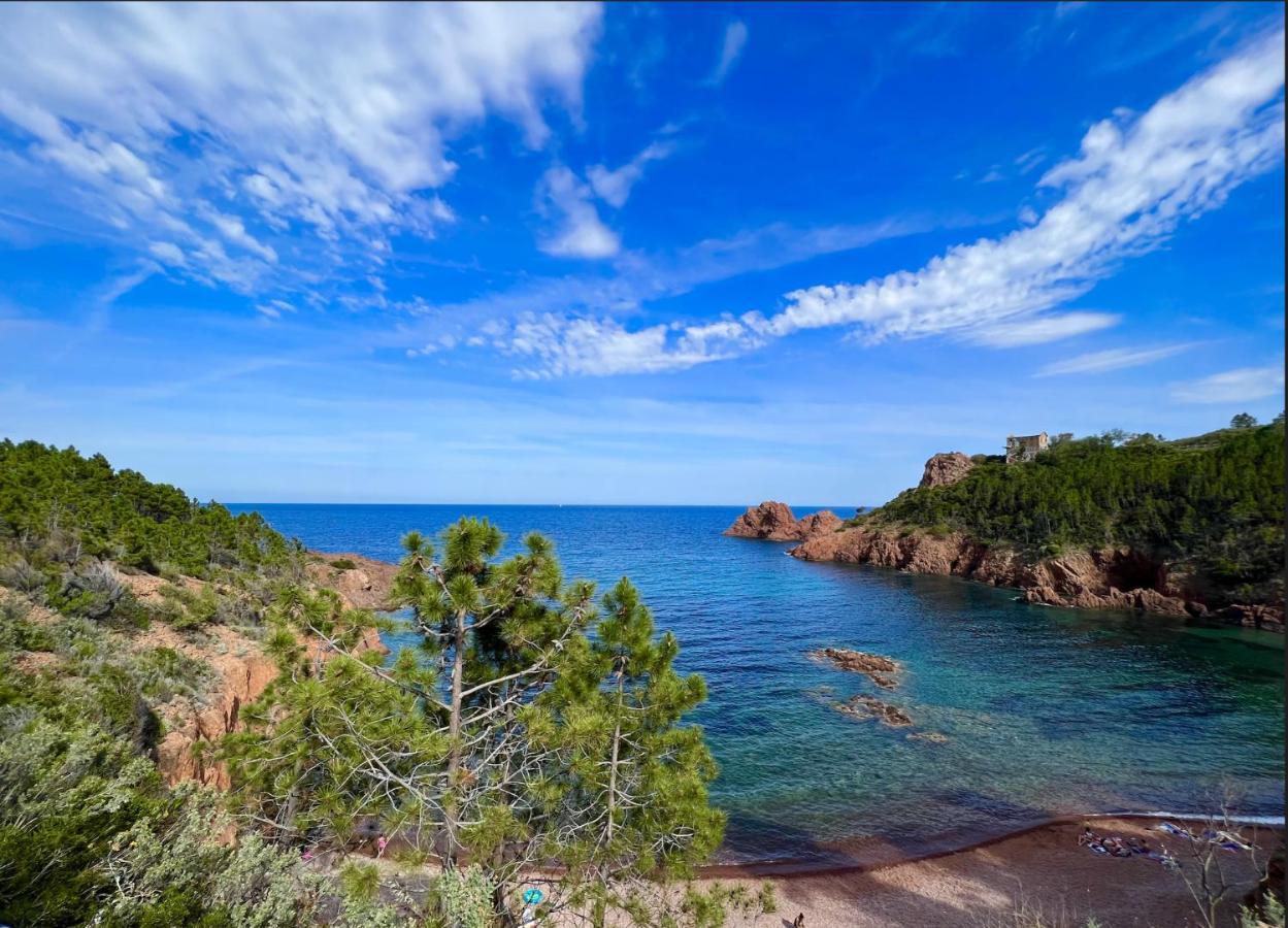Les Cactus Frejus Plage Екстериор снимка