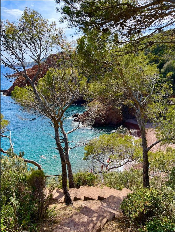 Les Cactus Frejus Plage Екстериор снимка