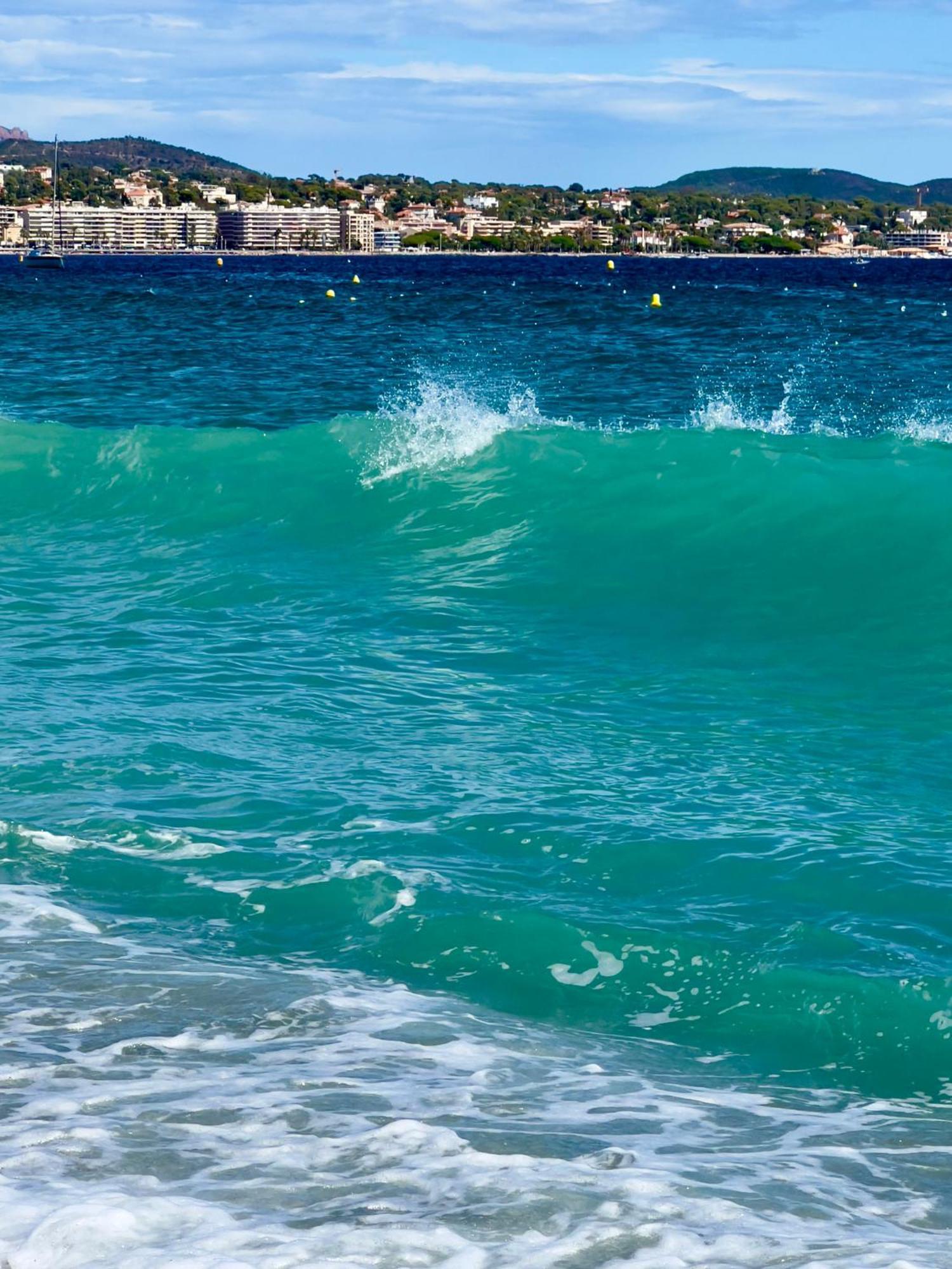 Les Cactus Frejus Plage Екстериор снимка